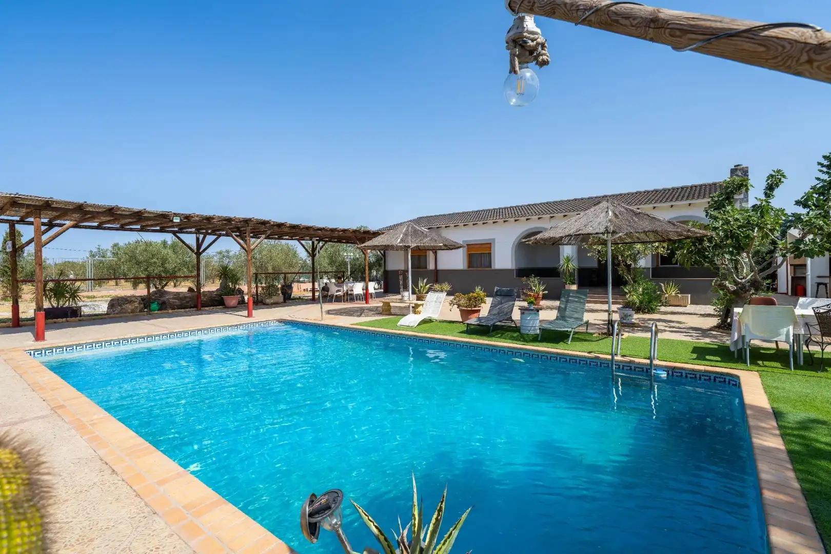 Piscina de Finca rústica en venta en Tabernas con Aire acondicionado, Jardín privado y Piscina