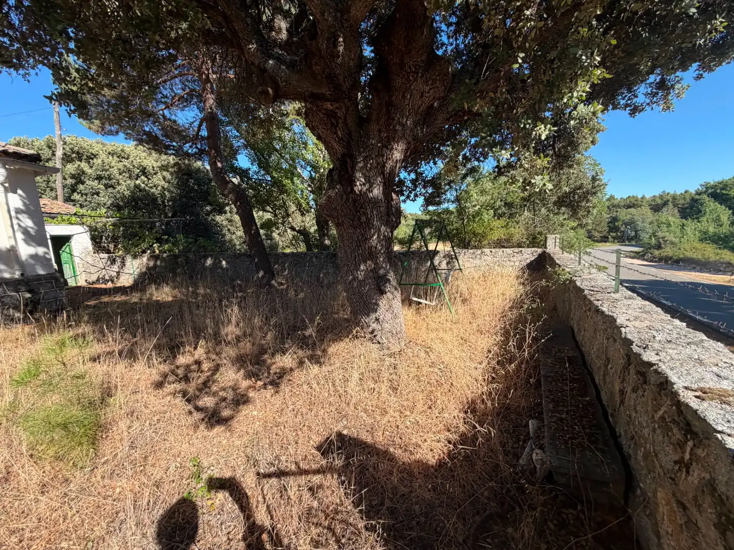 Finca rústica en venta en Muñana
