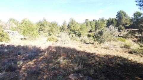 TERRENO RUSTICO SOTARRAÑA!!!!, imatge 5
