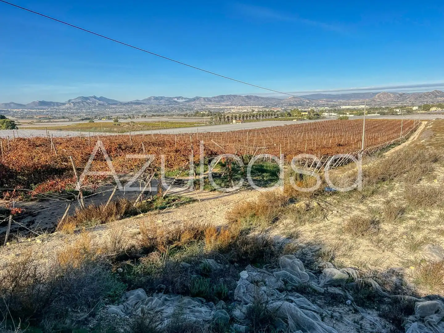 Terreny en venda en Monforte del Cid