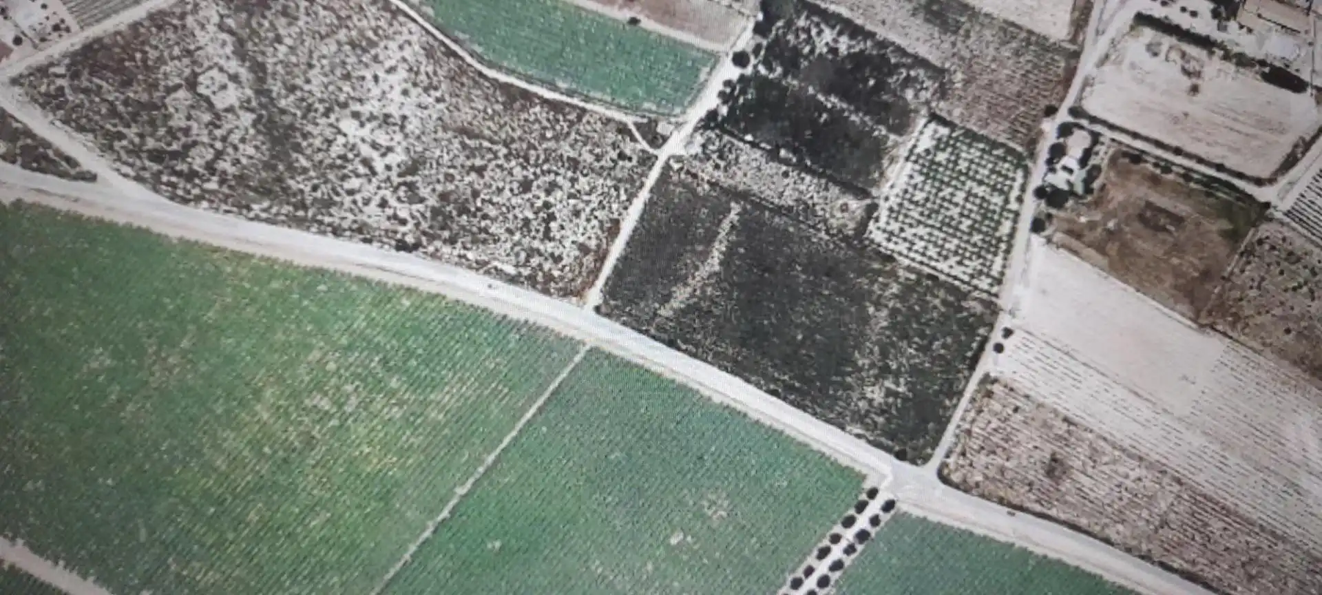 Rural land for sale in Monforte del Cid