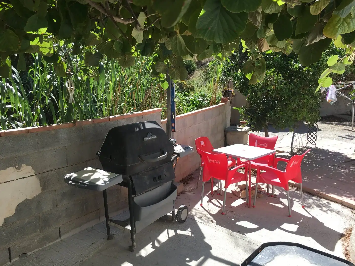Jardín de Finca rústica en venta en Vélez de Benaudalla con Aire acondicionado, Calefacción y Terraza