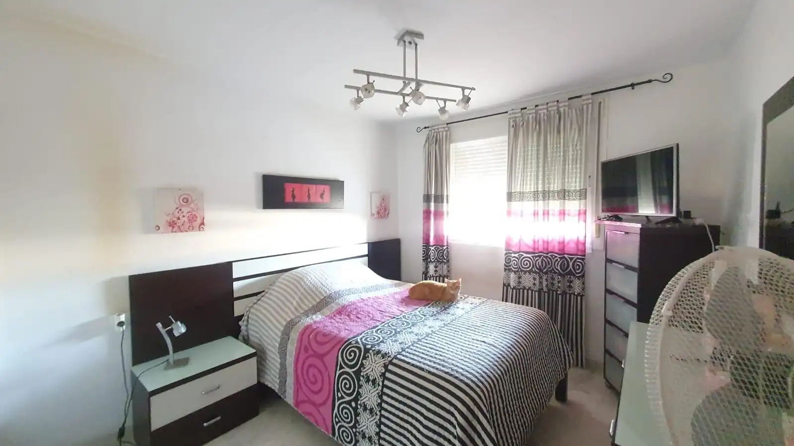 Piso con piscina en venta en Calle Calle Joaquín de Rucoba, imagen 15