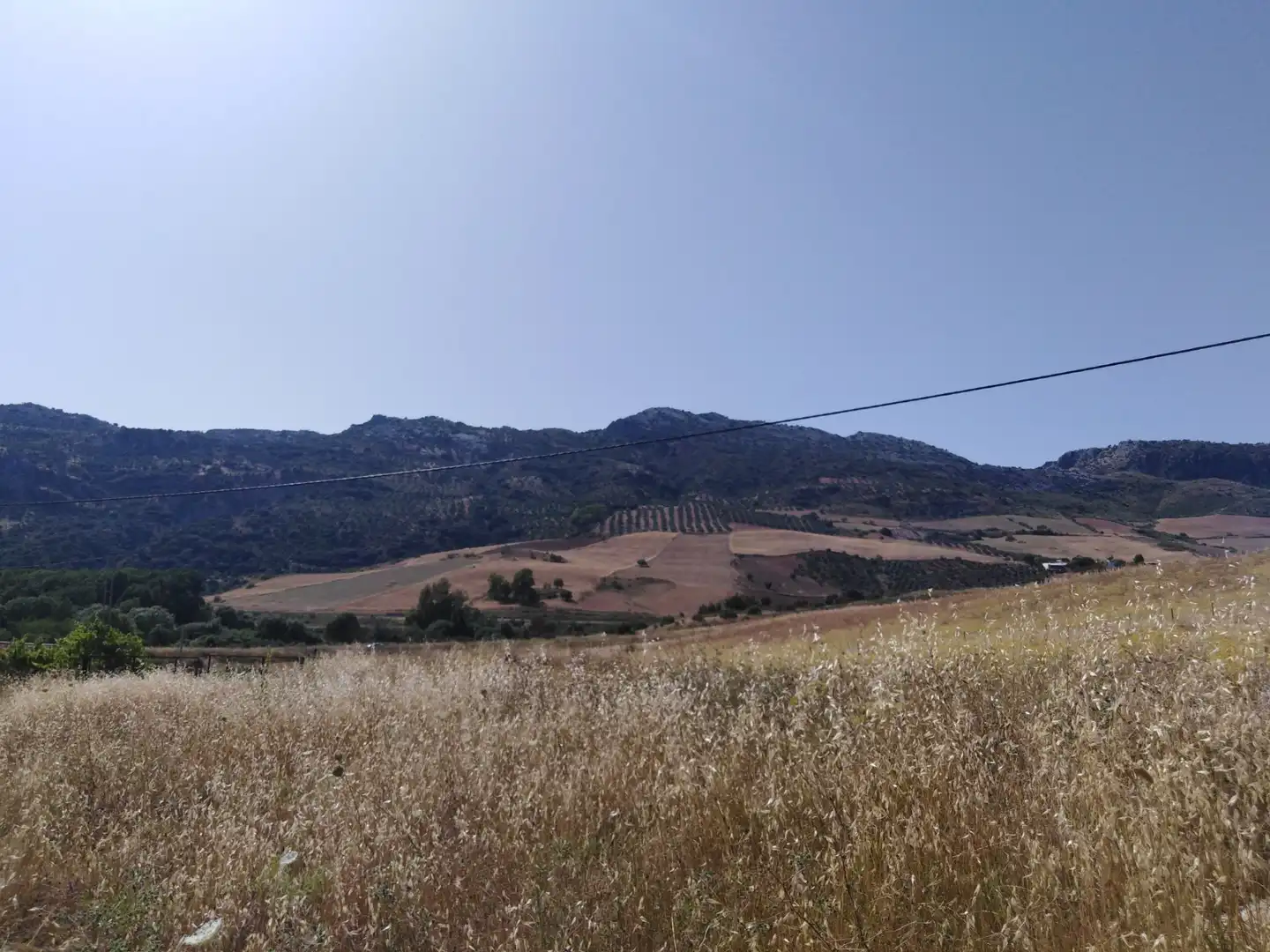 Finca rústica en venda en Ronda