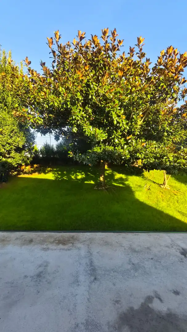 Maison avec jardin à vendre à Avenida Hermida, imagen 31