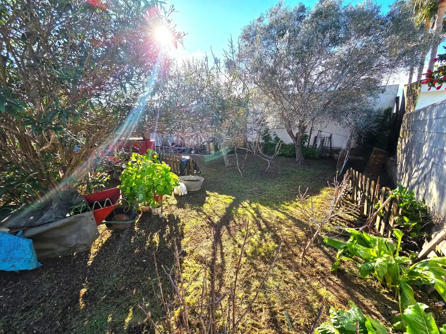 Jardí de Casa o xalet en venda en Chiclana de la Frontera amb Jardí privat