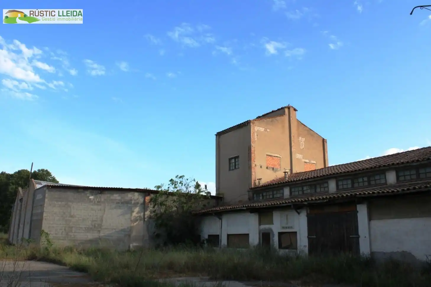 Exterior view of Industrial buildings for sale in Mollerussa