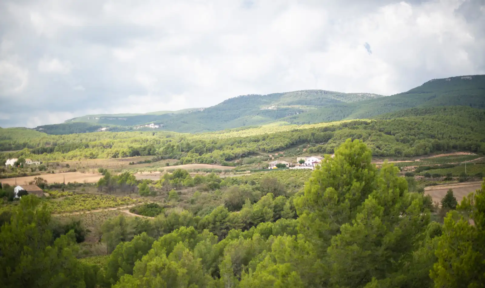 Finca rústica en venta en Font-rubí con Calefacción, Jardín privado y Terraza