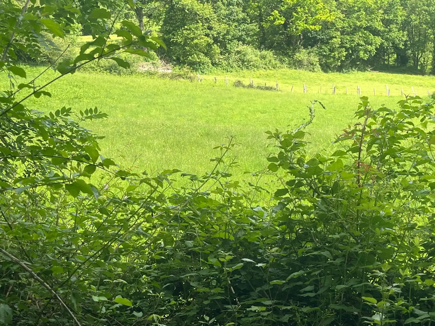 Land for sale in Beintza-Labaien