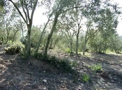 Lands and plots for sale in Lugar Can Segarra, imagen 11
