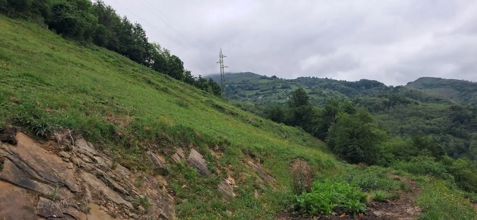 Lands and plots for sale in Lena, imagen 18
