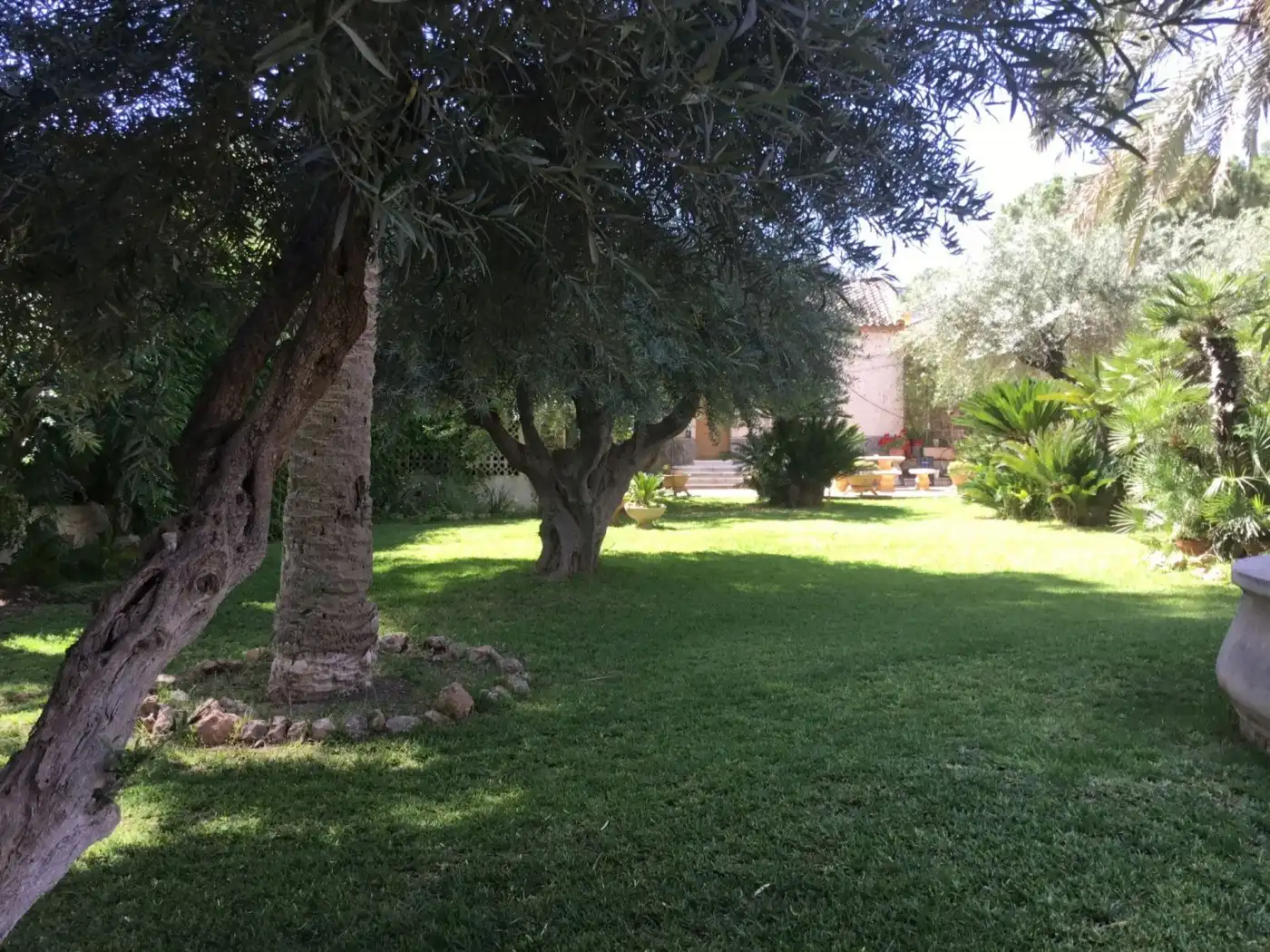 Jardín de Casa o chalet en venta en Murcia con Piscina y Amueblado