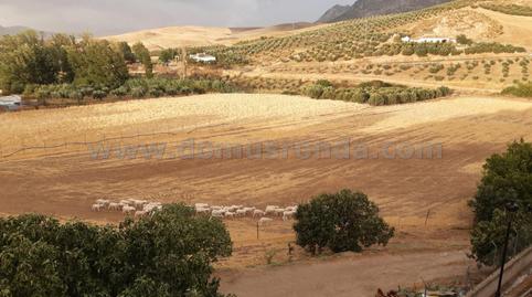 Photo 4 of House or chalet for sale in Serrato, Málaga