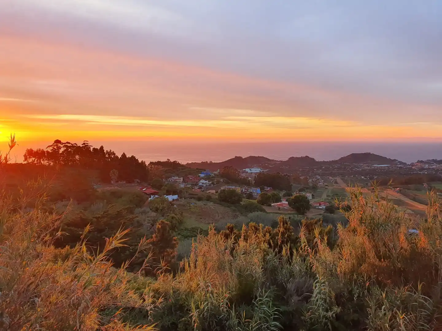 Vista exterior de Casa o xalet en venda en Tacoronte amb Jardí privat, Parquet i Terrassa