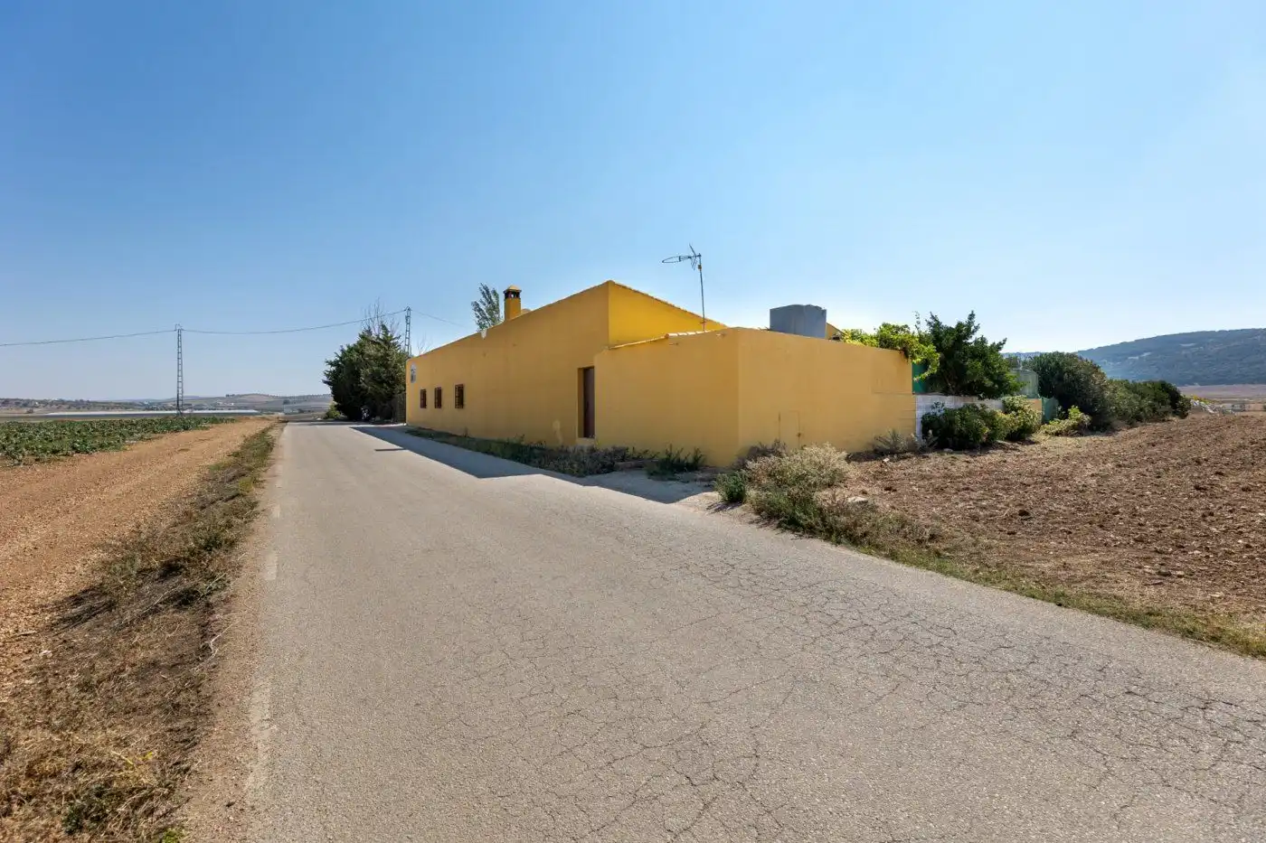 Vista exterior de Finca rústica en venta en Alhama de Granada con Aire acondicionado, Jardín privado y Terraza