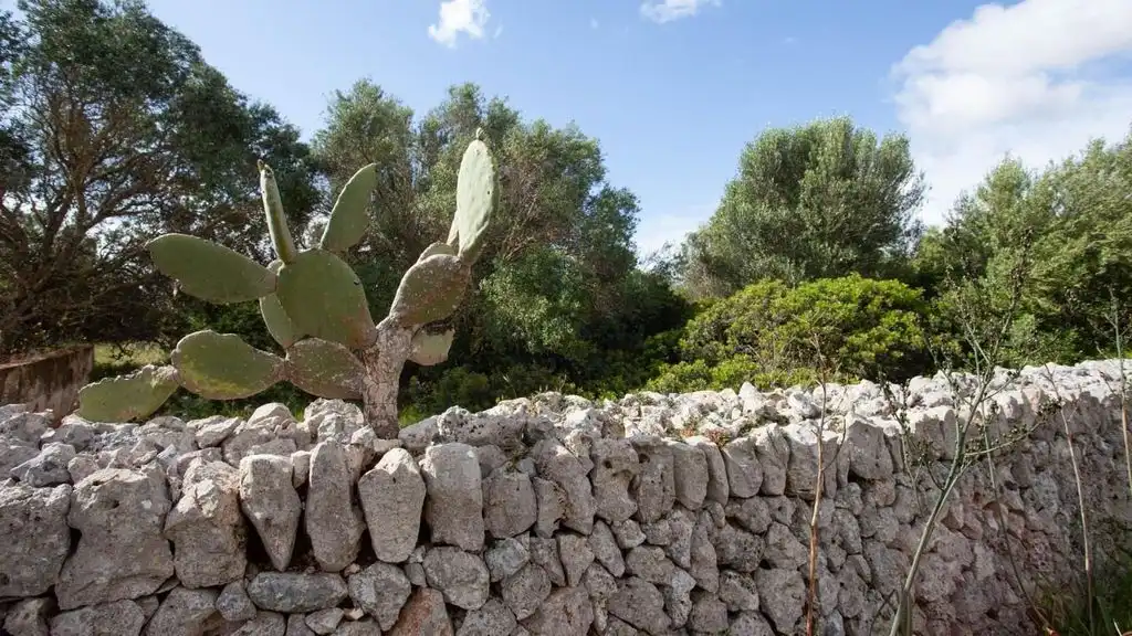 Garten von Country house zum Verkauf in Manacor mit Terrasse und Abstellraum
