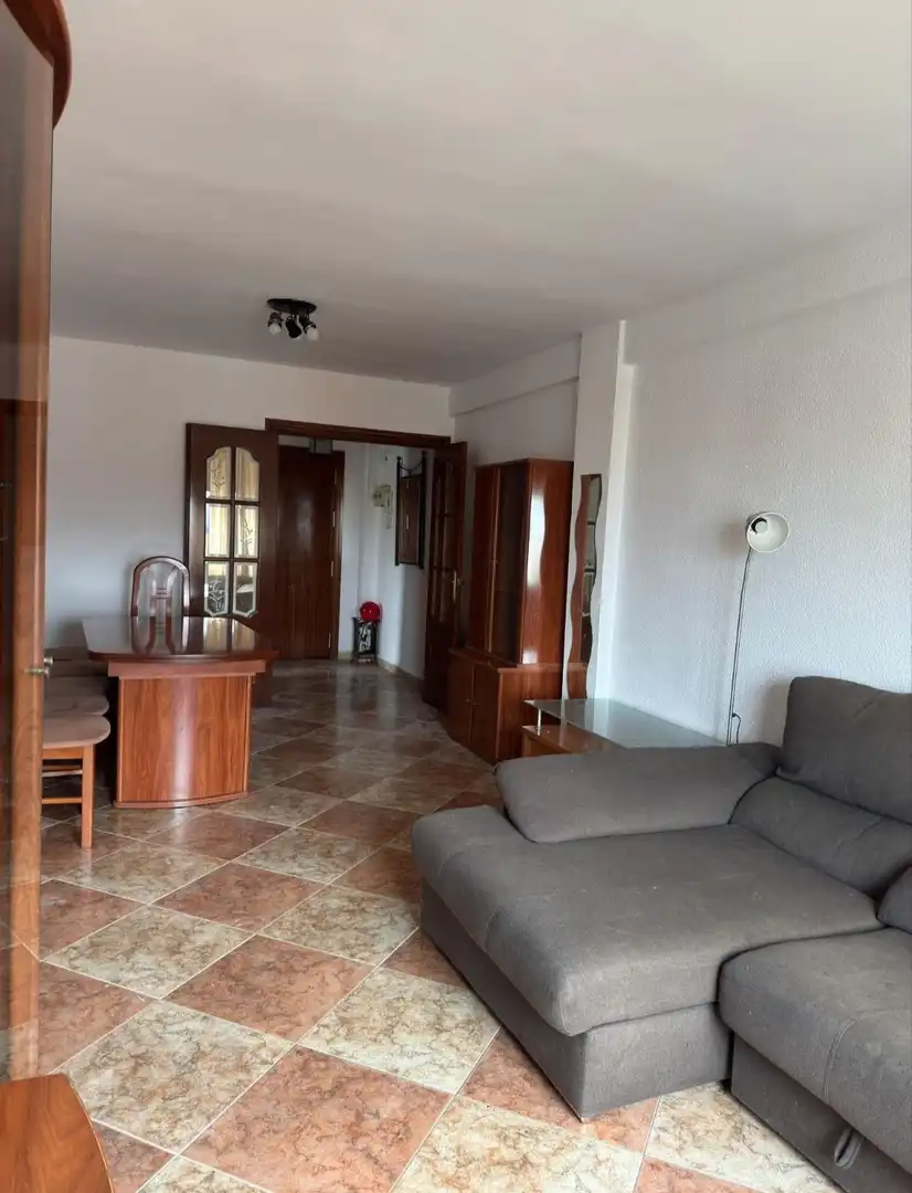 Sala d'estar de Pis en venda en Málaga
