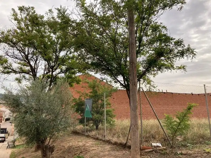 Terreny residencial en venda a Carretera Fontanar, imagen 3