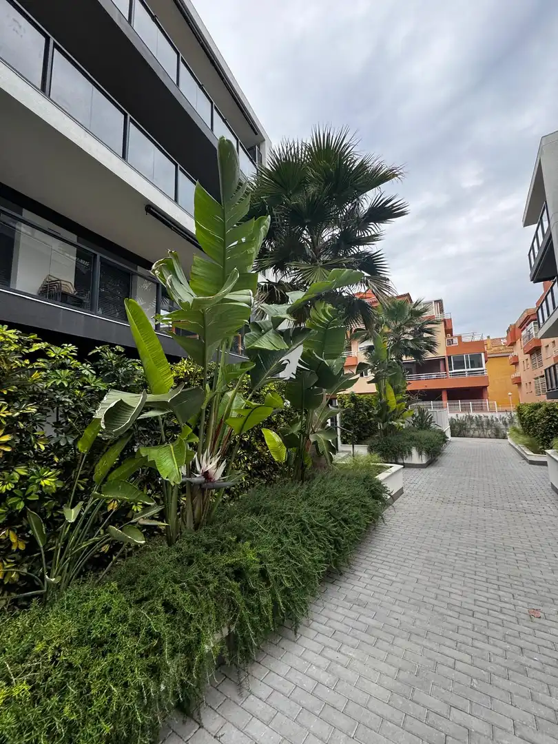 Apartment for sale in Centro ciudad, imagen 15