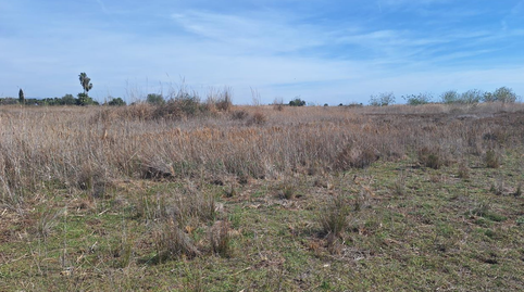 Foto 3 de Residencial en venta en Poligono 13 Parcela 31, Poligono 1, -1, Playa del Puig, El Puig de Santa Maria