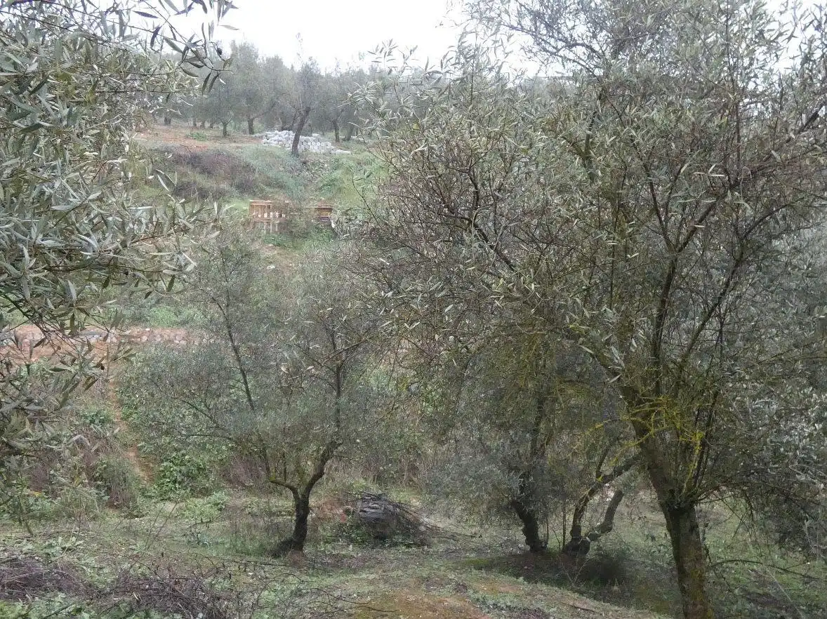 Terreni e lotti in vendita a Peligros, imagen 2
