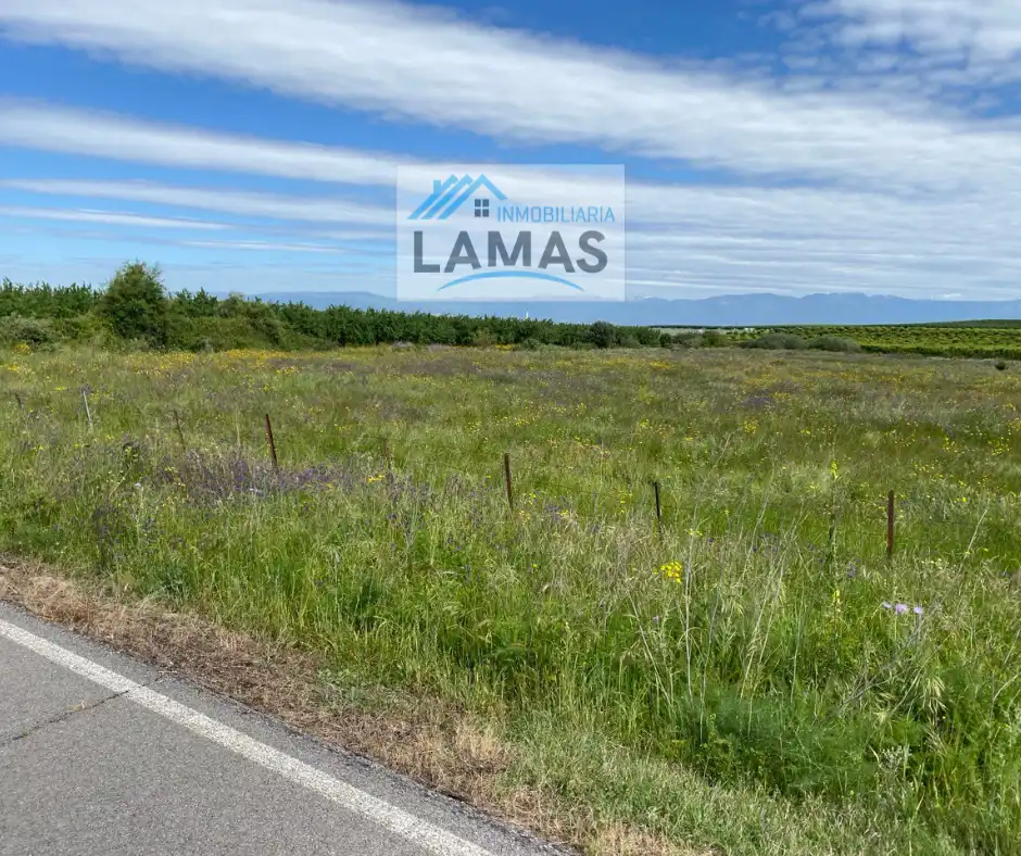 Land for sale in Belvís de Monroy