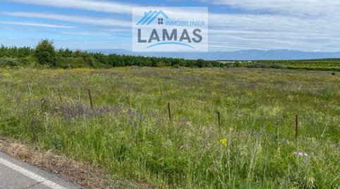 Foto 2 de Terreno en venta en N/a, -1, Belvís de Monroy, Cáceres