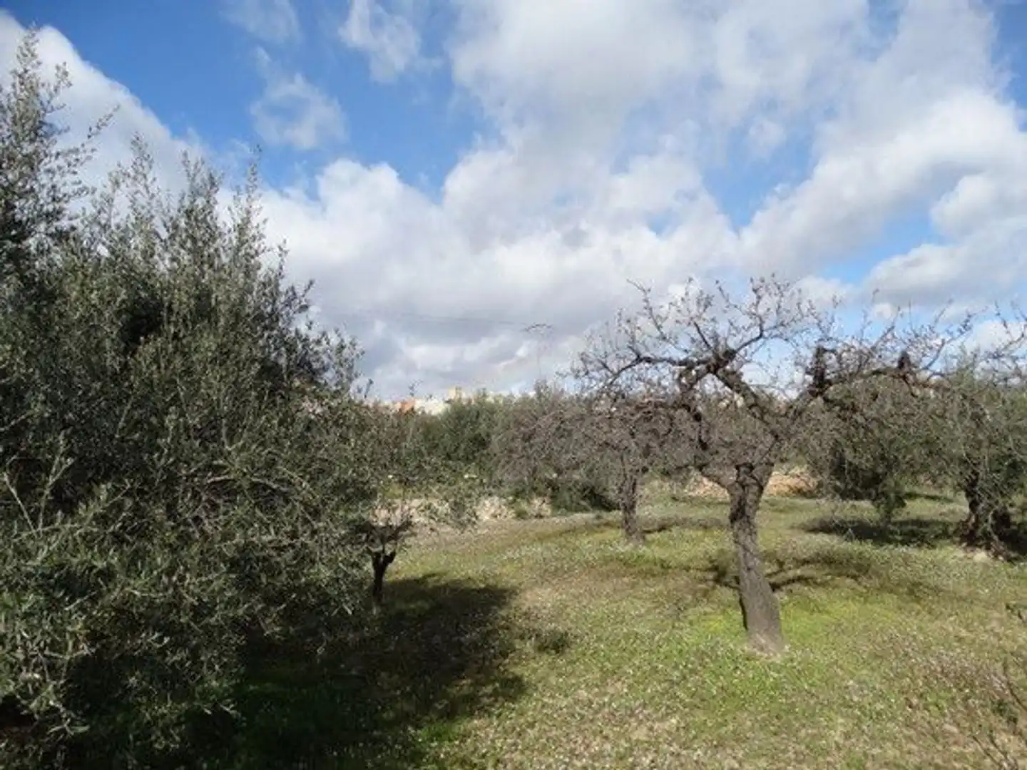 Terreni e lotti in vendita a Moratalla, imagen 18