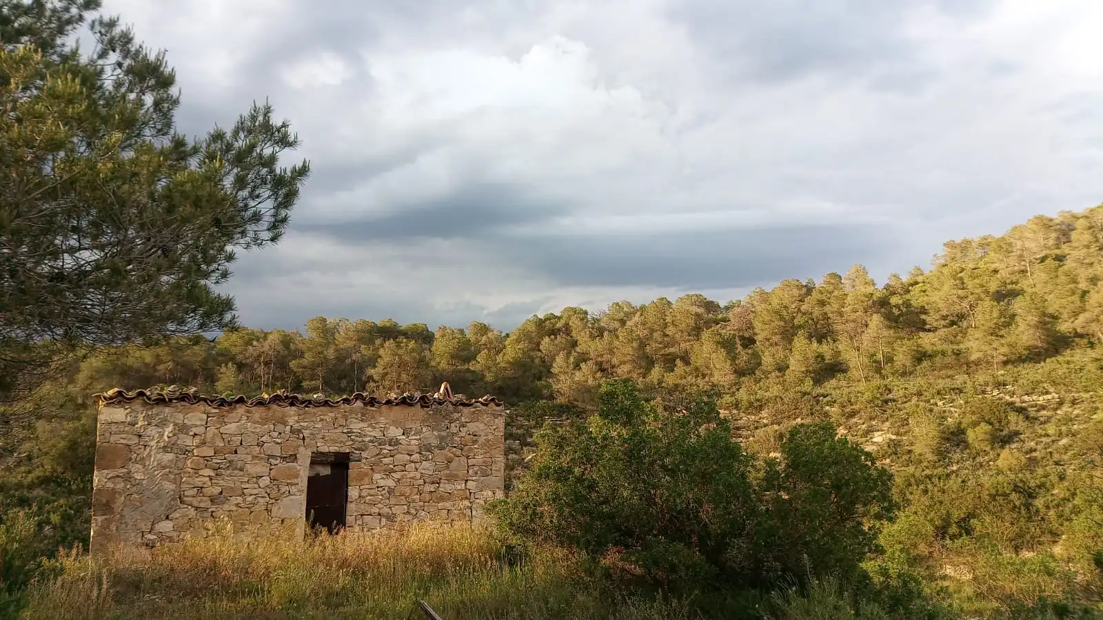 Finca rústica en venta en Vilalba dels Arcs