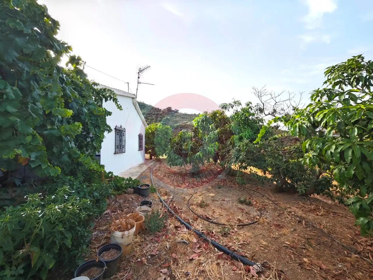 Finca rústica en venda en Comares amb Terrassa