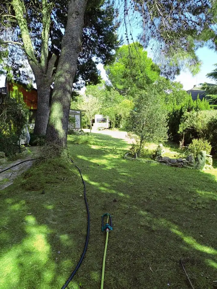 Jardí de Casa o xalet en venda en Zuera amb Jardí privat i Piscina comunitària