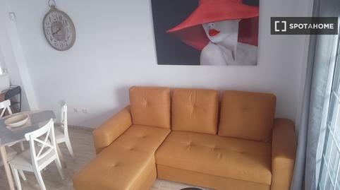 Photo 5 of Apartment to share in Palm - Mar, Santa Cruz de Tenerife