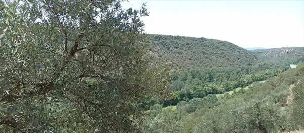 Rustikales Grundstück zum Verkauf in Montoro, imagen 4