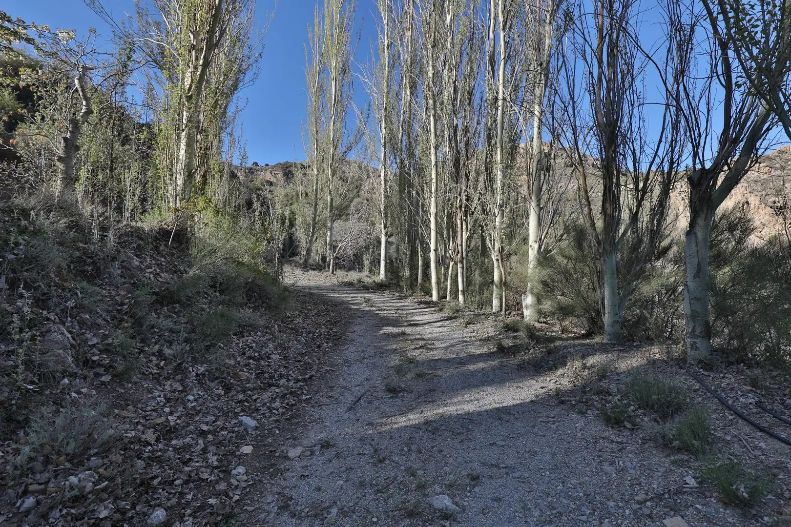 Casa rústica en venda a Dúrcal, imagen 37
