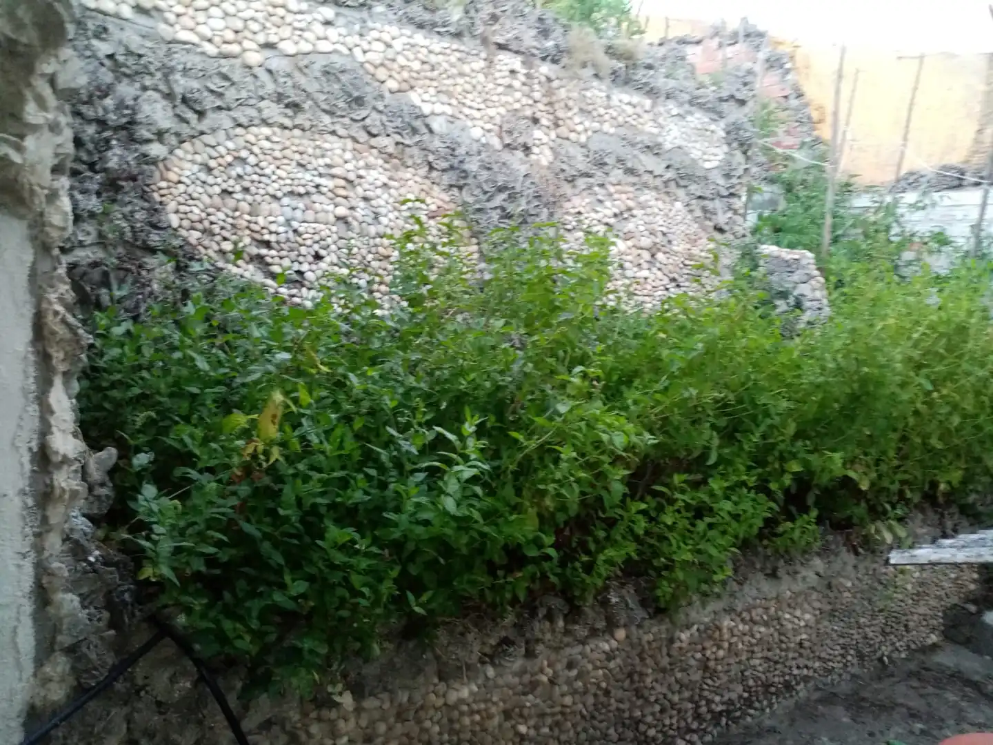 Jardí de Casa o xalet en venda en Íscar amb Calefacció, Jardí privat i Terrassa