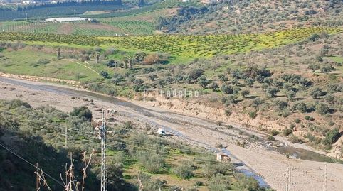SOLAR RÚSTICO DE 11.300 M CON AGUA, LUZ Y EXCELENTE ACCESO ENTRE PUERTO DE LA TORRE Y ALMOGÍA, imatge 3