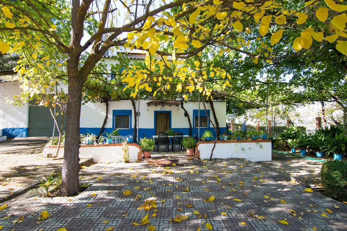 Villa con piscina in vendita a Camino La Caras de Cacín, polígono 5 parcelas 14, 15 y, imagen 54