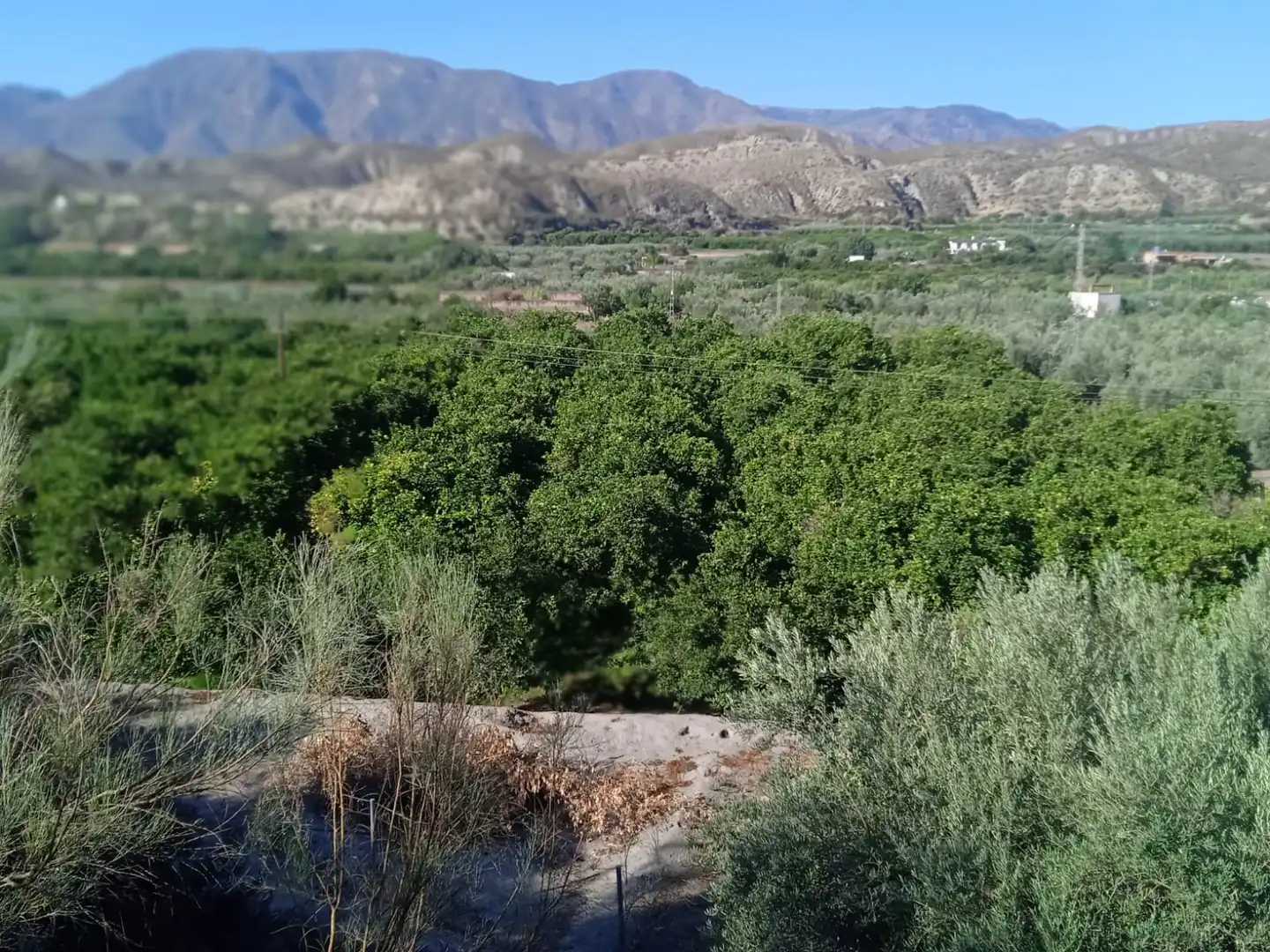 Terreno en venta en Santa Cruz de Marchena