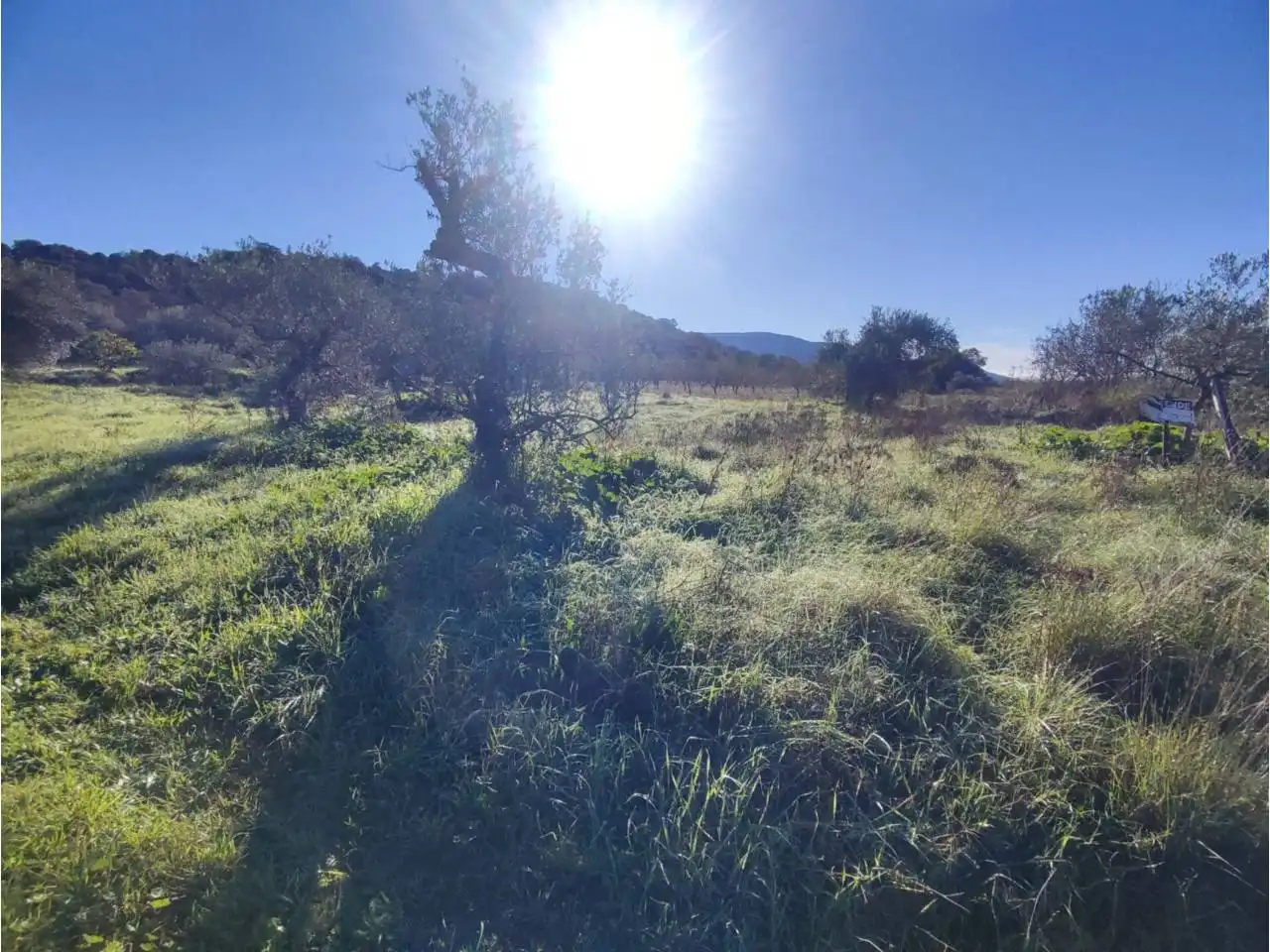 Residencial en venta en El Grado