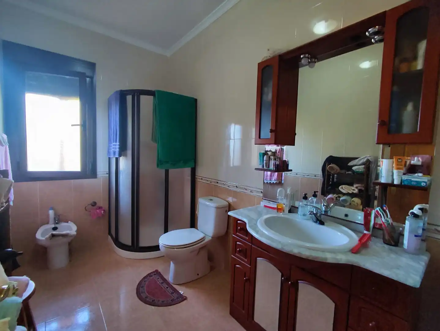 Casa con piscina en venta en Carretera la Solana-Tomelloso, imagen 18