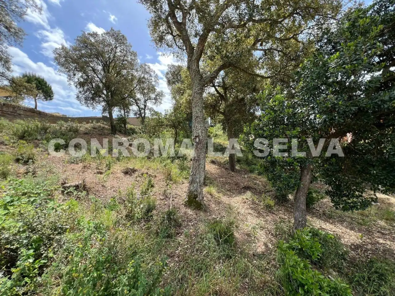 Rustikales Grundstück zum Verkauf in Lloret Residencial - Montlloret, imagen 11