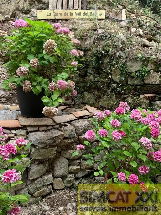 Casa rustica in vendita a La Vall de Bianya, imagen 23