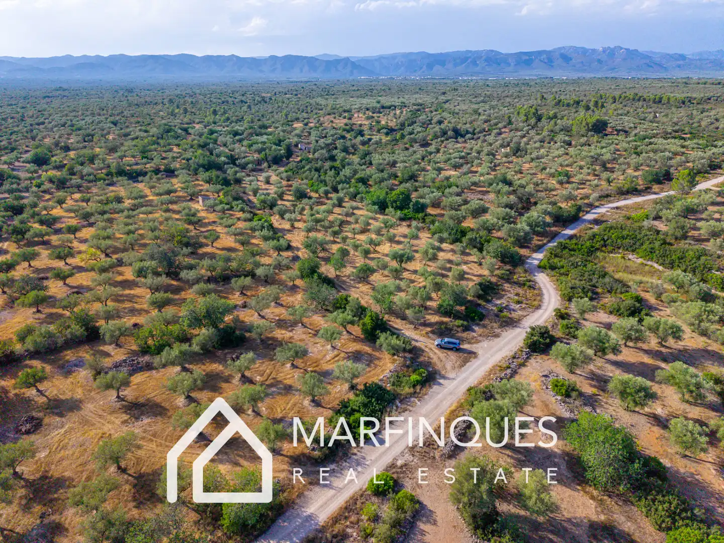 Terreno rustico in vendita a San Rafael del Río, imagen 7