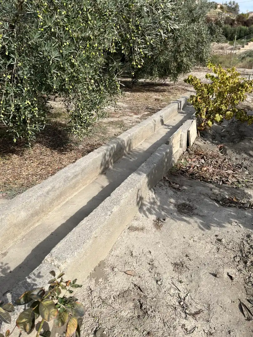 Vista exterior de Terreno en venta en Alsodux