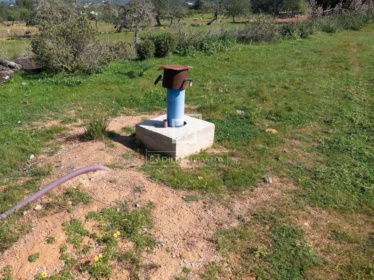 Terreny rústic en venda a Sant Antoni de Portmany, imagen 7