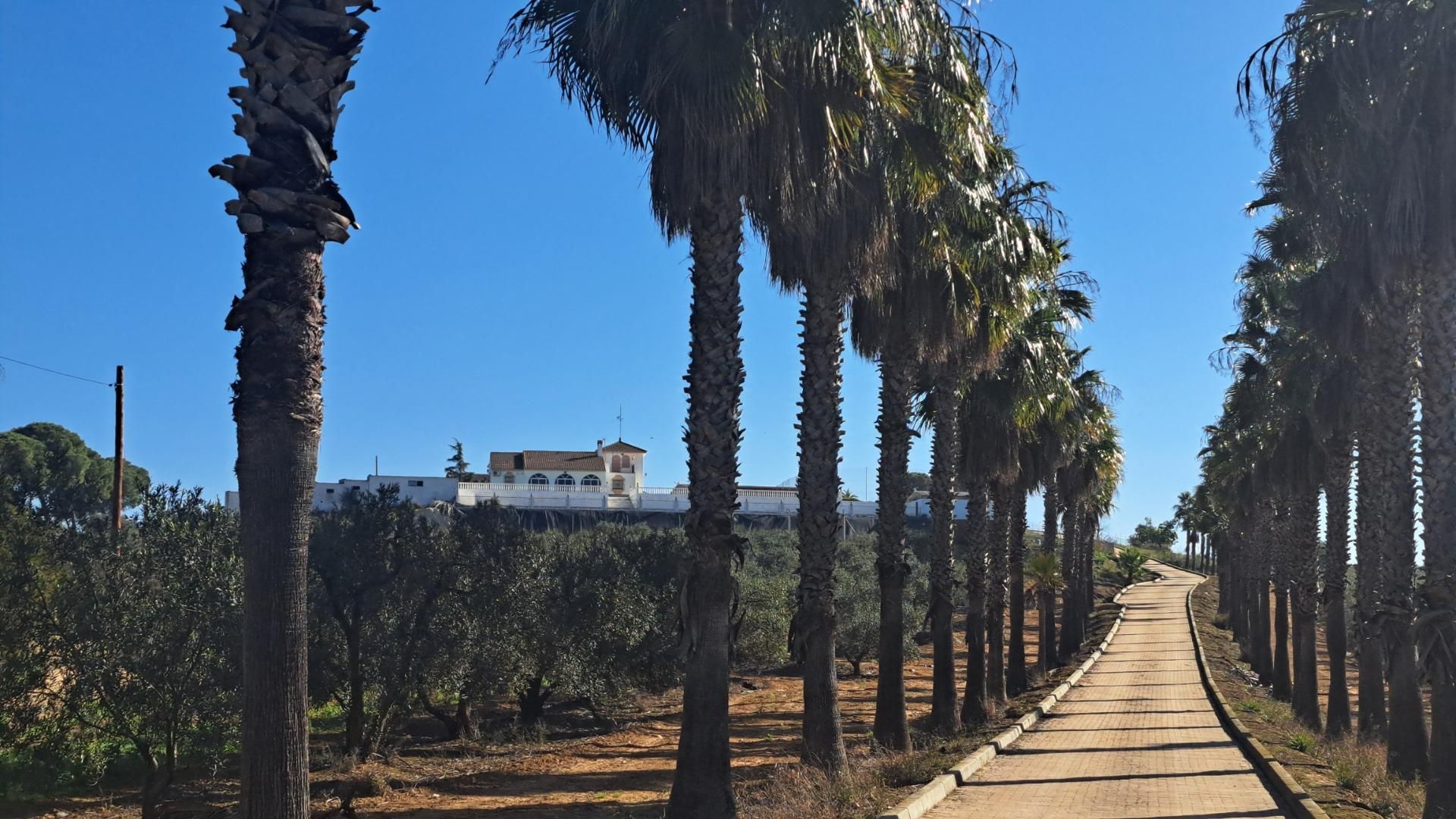 Exterior view of Country house for sale in Mairena del Alcor  with Air Conditioner, Private garden and Terrace