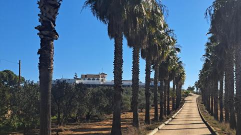 Foto 3 de Finca rústica en venda a Urbanizacion Vista Sevilla, Mairena del Alcor, Sevilla