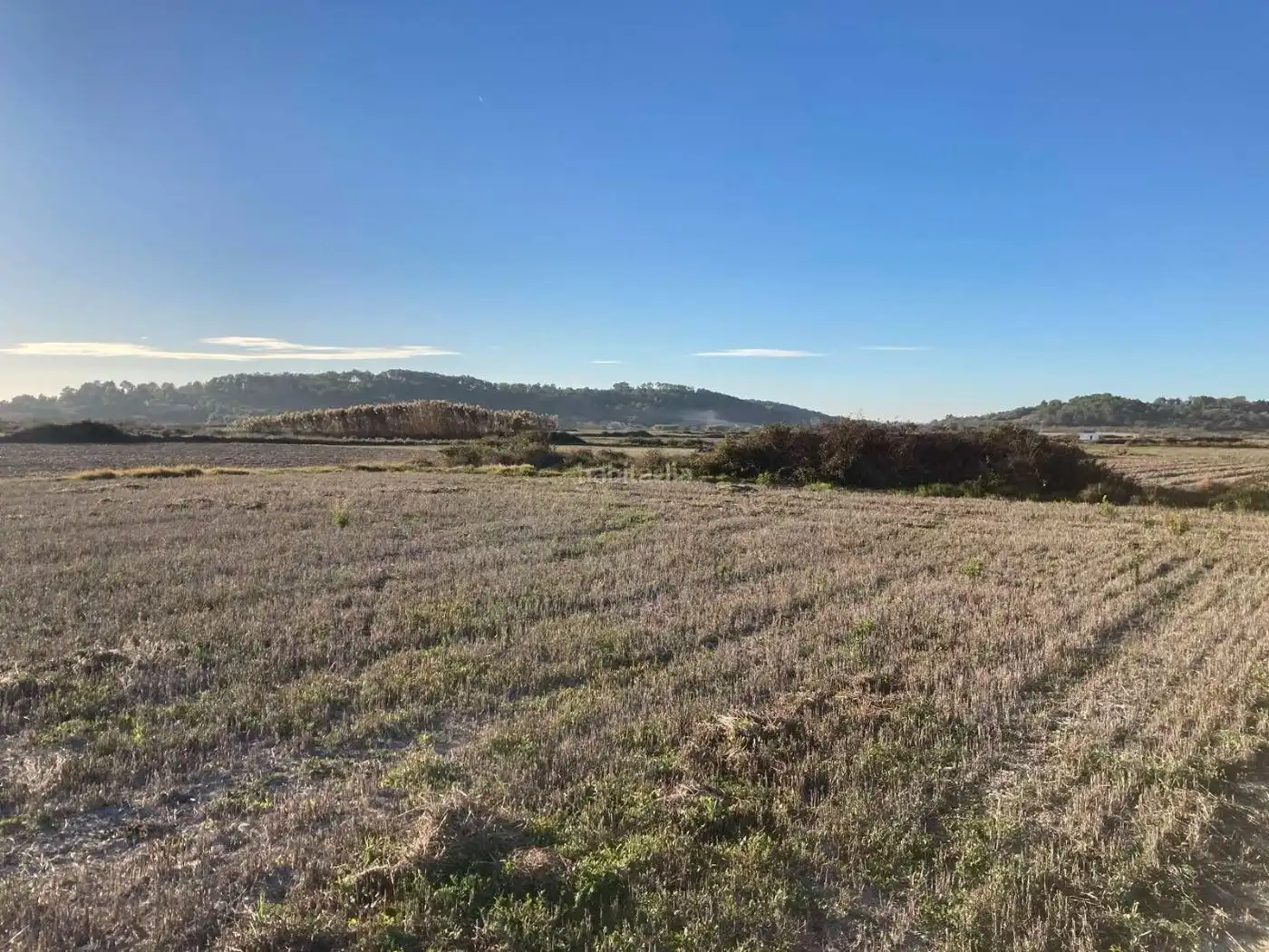 Terrain rustique à vendre à Ma-3222 1219, imagen 11