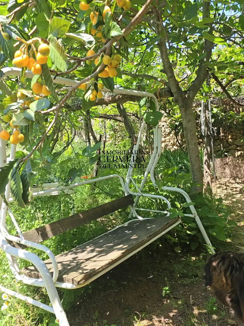 Garden of Houses for sale in La Torre d'en Besora