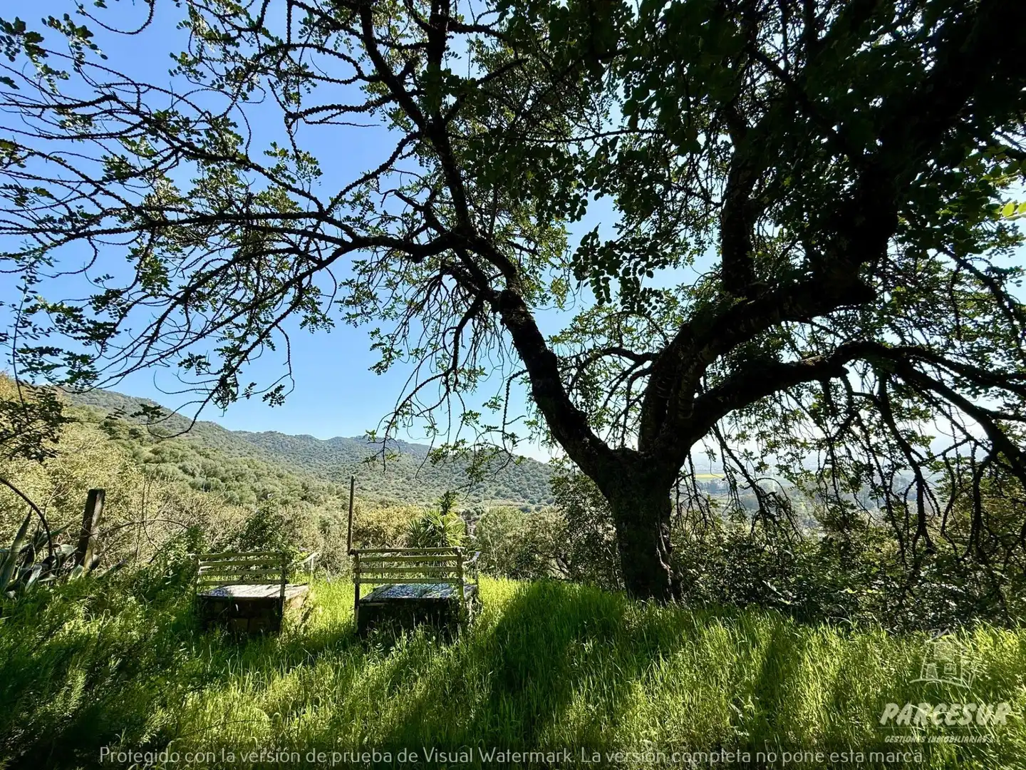 Vista exterior de Finca rústica en venda en Córdoba amb Jardí privat i Traster